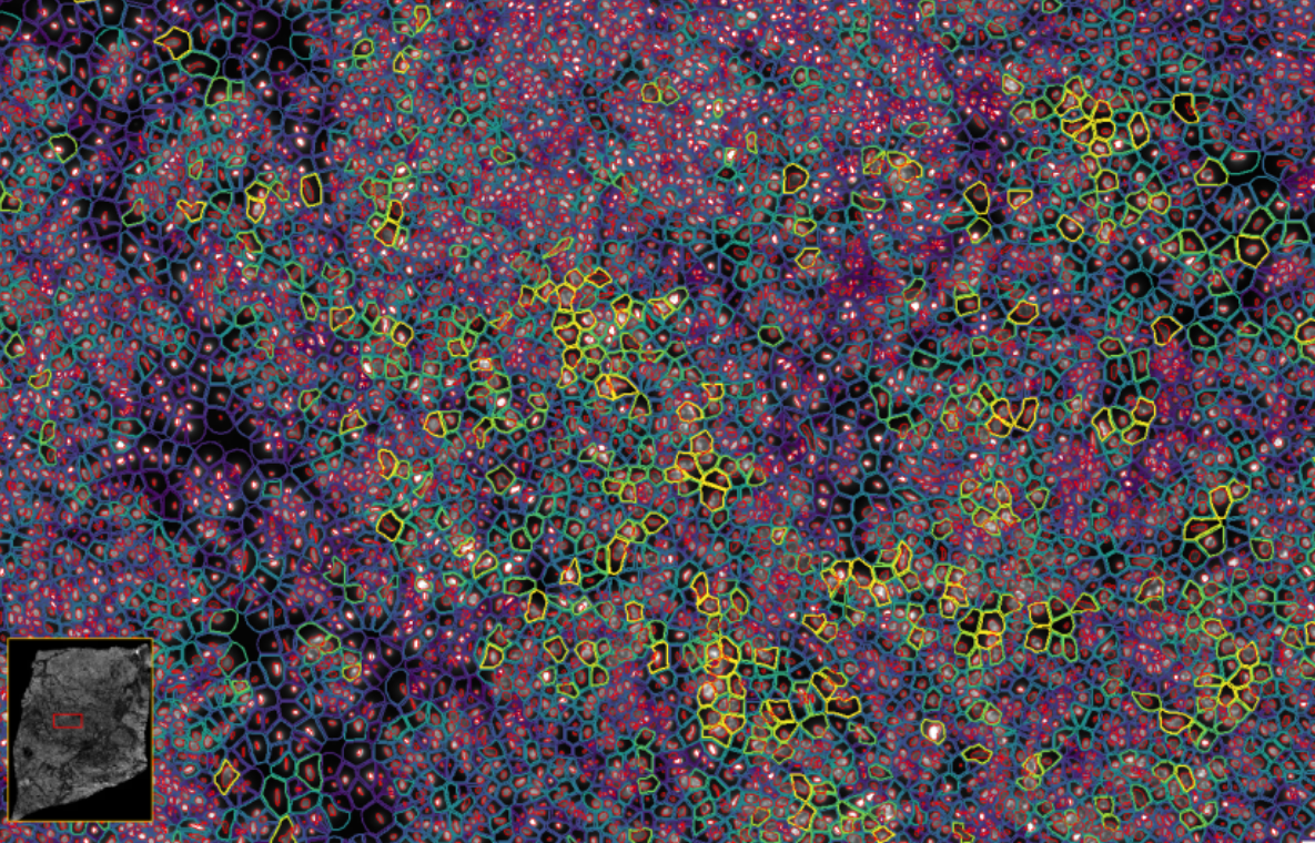 1705994201485209.png image.png